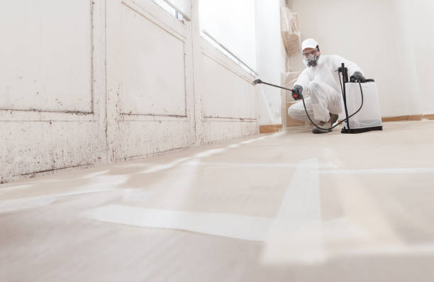 24/7 Emergency Basement Mold Remediation experts in Willernie, MN